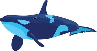 Blauwal Fisch Tier Vektor