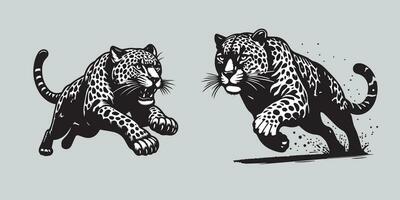 Vektor einstellen von Tiger. Tiger, Katze, Panther und Tiger. schwarz und Weiß Illustrationen.