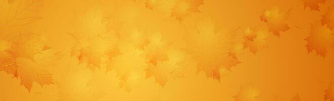 gyllene orange minimal höst bakgrund med lönn löv vektor
