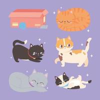 katter husdjur med låda ull boll, kattdjur vektor