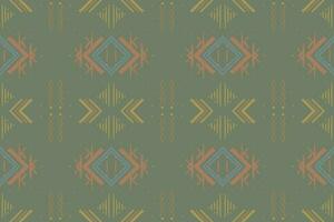 einheimisch Muster amerikanisch Stammes- indisch Ornament Muster geometrisch ethnisch Textil- Textur Stammes- aztekisch Muster navajo Mexikaner Stoff nahtlos Vektor Dekoration Mode