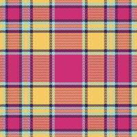 schottisch Tartan nahtlos Muster. schottisch Plaid, zum Hemd Druck, Kleidung, Kleider, Tischdecken, Decken, Bettwäsche, Papier, Steppdecke, Stoff und andere Textil- Produkte. vektor