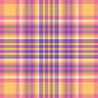 tartan pläd vektor sömlös mönster. pläd mönster sömlös. för scarf, klänning, kjol, Övrig modern vår höst vinter- mode textil- design.