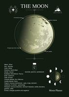 Mond Poster. Mond im das Natal Diagramm, Horoskop. vektor