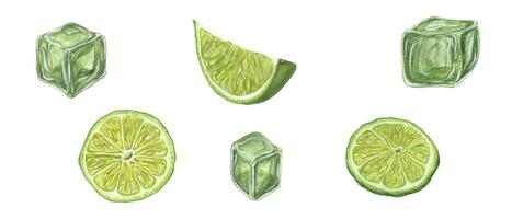 vattenfärg uppsättning av kalk skivor, grön is kuber. frysta vatten med citrus- juice. botanisk illustration vektor