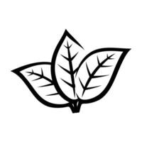 Blatt Symbol. Blätter Symbol auf isoliert Hintergrund. Sammlung Grün Blatt. Elemente Design zum natürlich, Öko, vegan, bio Etiketten. vektor