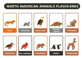 söt norr amerikan djur med namn. flashcards för inlärning engelsk. vektor