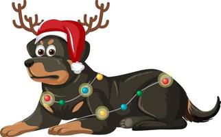 rottweiler hund bär jul hatt seriefigur vektor