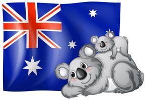 Australien flagga vektor