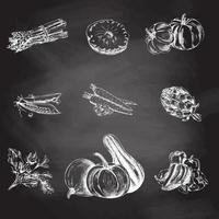 von Hand gezeichnete Thanksgiving-Vektorillustration. Speisekarte im Vintage-Stil. Tafel. Vintage-Skizze. vektor