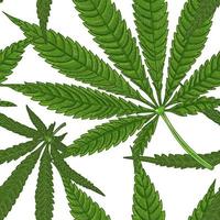 medicinsk cannabis marijuana niospetsigt blad, handritat sömlöst mönster vektor