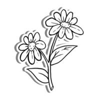 schwarz Linie zwei Gänseblümchen blühen auf Weiß Silhouette und grau Schatten. Hand gezeichnet Karikatur Stil. Vektor Illustration zum schmücken, Färbung und irgendein Design.