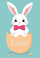 påsk kanin med påsk ägg. påsk hälsning kort med kanin. Lycklig påsk. söt kanin för påsk. kanin öron och påsk ägg. vektor illustration. hälsning kort. kanin i de ägg
