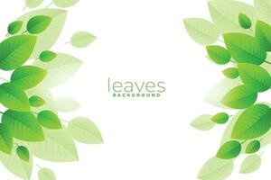 brisch Grün Blätter Hintergrund Design vektor