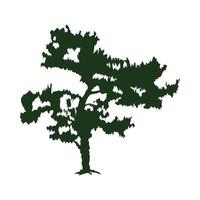 grönt träd bonsai silhuett skog ikon vektor
