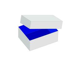 sko låda, rektangel låda, förpackning låda, 3d låda vektor