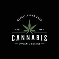 premie kvalitet cannabis organisk växt logotyp retro årgång mall design. vektor