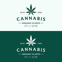 premie kvalitet cannabis organisk växt logotyp retro årgång mall design. vektor