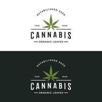 premie kvalitet cannabis organisk växt logotyp retro årgång mall design. vektor