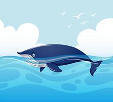 Blauwal schwimmen im Ozean vektor