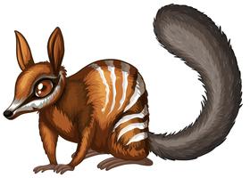 Numbat vektor