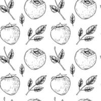 vintage sömlöst mönster med handritade persimmonfrukter och blad. vektor illustration i skiss stil.