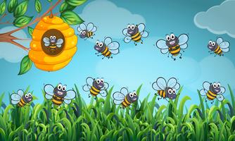Bienen fliegen um den Bienenstock vektor