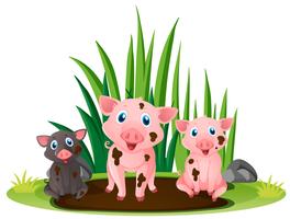 Tre små grisar som leker i lerig pöl vektor