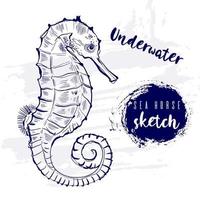 Vintage Tier Seepferdchen Fisch Marine Sketch.Retro-Linie style.handgezeichnete Underwater.vector Illustration. vektor