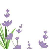 Blumenhintergrund mit Lavendel und Blättern. Vektorillustration für romantisches Design, Vorlage für Banner oder Postkarte. vektor