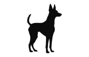 portugisiska podengo hund silhuett svart vektor fri