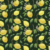citroner är gul, saftig, mogen med grön löv, blomma knoppar på de grenar, hela och skivor. vattenfärg, hand dragen botanisk illustration. sömlös mönster på en grön bakgrund. vektor eps