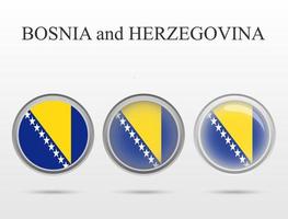 Bosnien och Hercegovinas flagga i form av en cirkel vektor