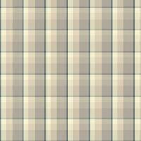 nahtlos Muster von Plaid. prüfen Stoff Textur. gestreift Textil- print.checkered Gingham Stoff nahtlos Muster. Vektor nahtlos Muster.