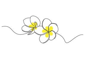 Plumeria Blumen im kontinuierlich einer Linie Kunst Zeichnung. Frangipani Blüte. Vektor Illustration isoliert auf Weiß.