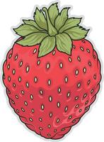 Erdbeere Vektor Illustration ohne Hintergrund