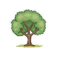 Baum mit Wurzeln Vektor Illustration