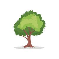 Baum mit Wurzeln Vektor Illustration