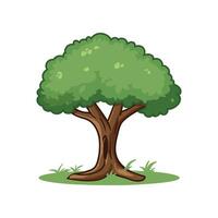 träd med rötter vektor illustration