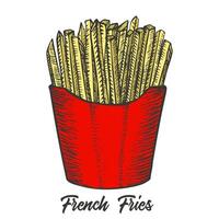Französisch Fritten Hand gezeichnet skizzieren Illustration. Vektor detailliert schnell Essen Symbol. Vektor Illustration