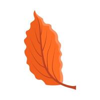 Ahorn Blatt Herbst Illustration vektor