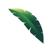 vektor grön banan träd blad design