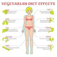 hur vegetarisk, vegansk eller raw food -diet påverkar människokroppen och in vektor