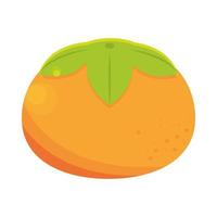orange citrusfrukter vektor