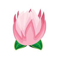 Lotusblütenblätter vektor