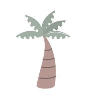 Palme tropisch vektor