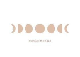 Allt faser av de måne i en ritad för hand stil. vektor
