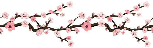 sakura blomma sömlös gräns mönster. japansk körsbär blomma exotisk textur. vår blommor grafisk för bakgrund, textil, tyg vektor