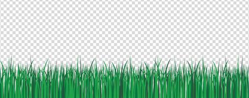 grön gräs gräns. vår eller sommar växt fält gräsmatta. vektor illustration
