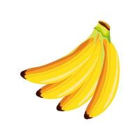 Bananen aus tropischen Früchten vektor